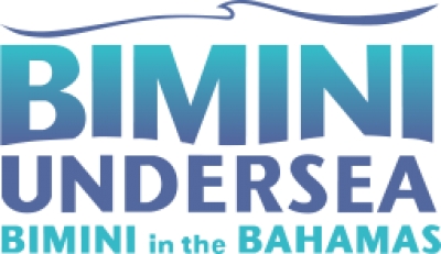 Bimini Under Sea