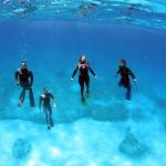 5 Tempat Wisata Menyelam dan Alam Terindah di Bimini Bahama