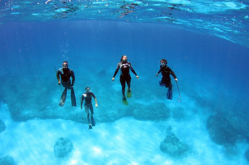 5 Tempat Wisata Menyelam dan Alam Terindah di Bimini Bahama