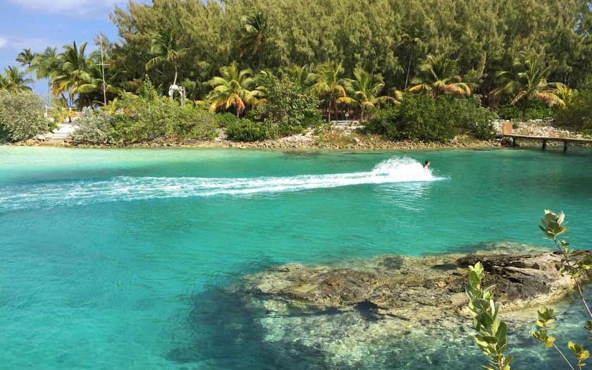 Rekomendasi Tempat Menyelam Terbaik di Kepulauan Bahamapun