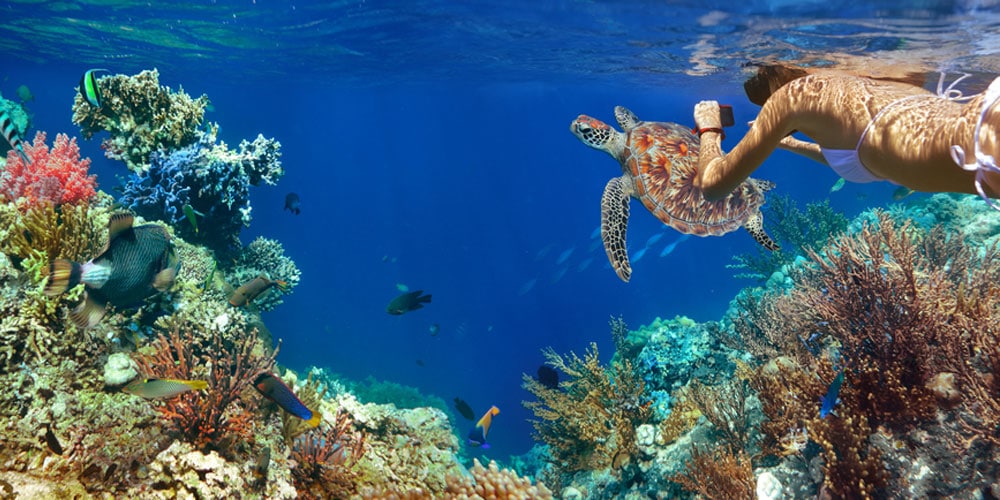 Great Experiences of Diving in Bimini